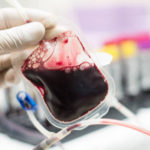 uti-veterinaria-nicare-balneario-camboriu-Transfusao de sangue e hemoderivados bolsa sangue ok