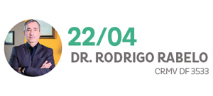 DR RODRIGO RABELO CRMV DF 3533