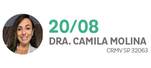 DRA CAMILA MOLINA CRMV SP 32063
