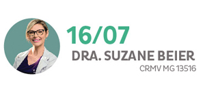 DRA SUZANE BEIER CRMV MG 13516