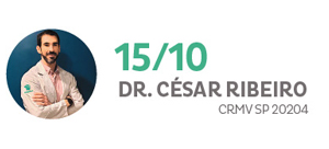 Dr Cesar Ribero CRMV SP 20204