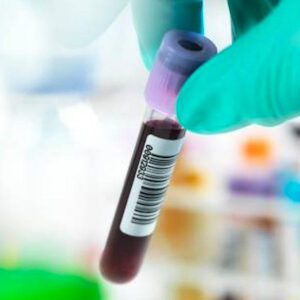 nicare uti veterinaria especialidades veterinarias analises clinicas